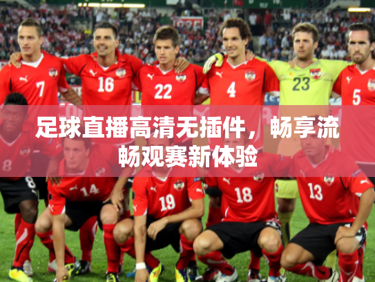 足球直播高清无插件，畅享流畅观赛新体验