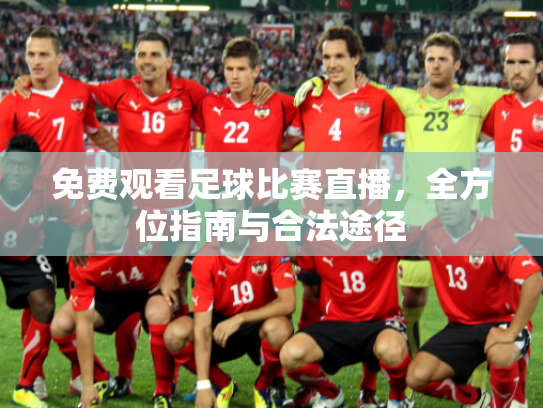免费观看足球比赛直播，全方位指南与合法途径