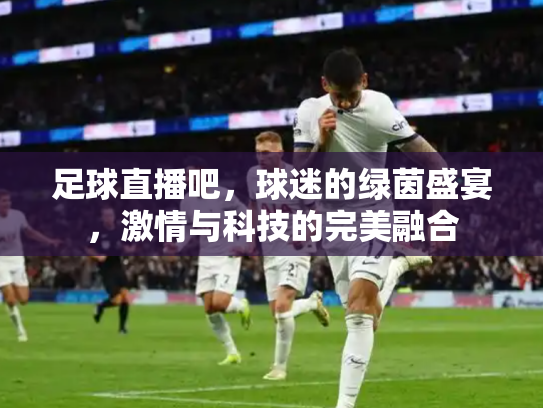 足球直播吧，球迷的绿茵盛宴，激情与科技的完美融合