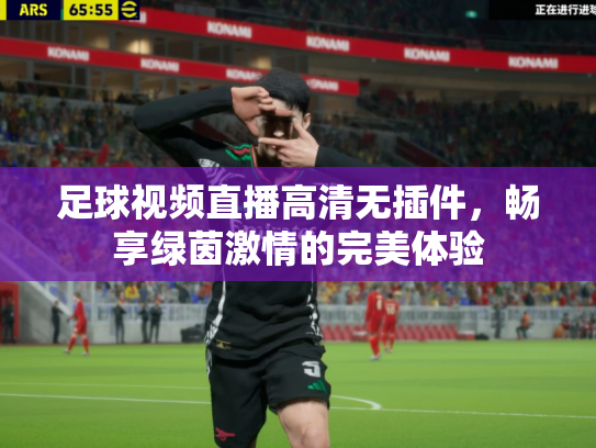 足球视频直播高清无插件，畅享绿茵激情的完美体验