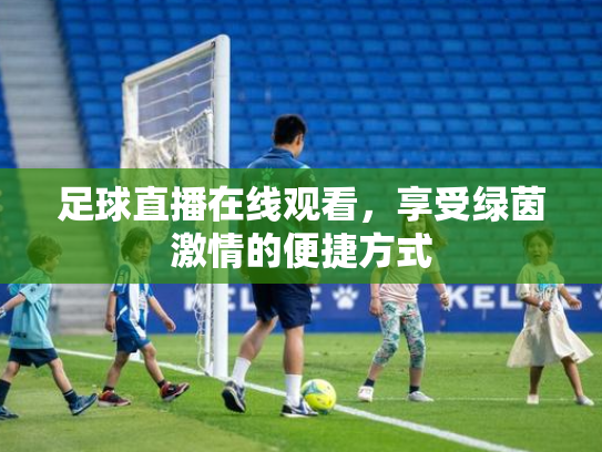 足球直播在线观看，享受绿茵激情的便捷方式