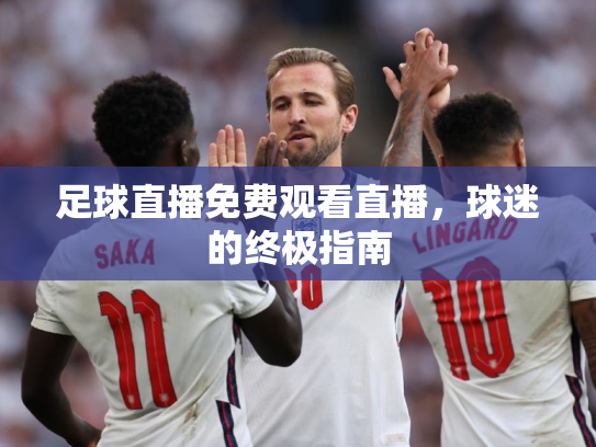 足球直播免费观看直播，球迷的终极指南