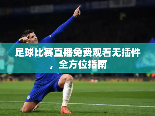 足球比赛直播免费观看无插件，全方位指南