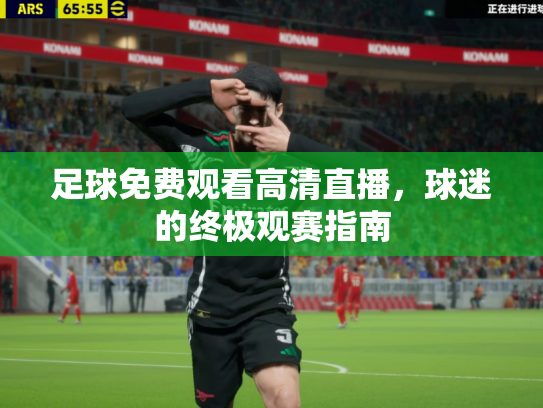 足球免费观看高清直播，球迷的终极观赛指南