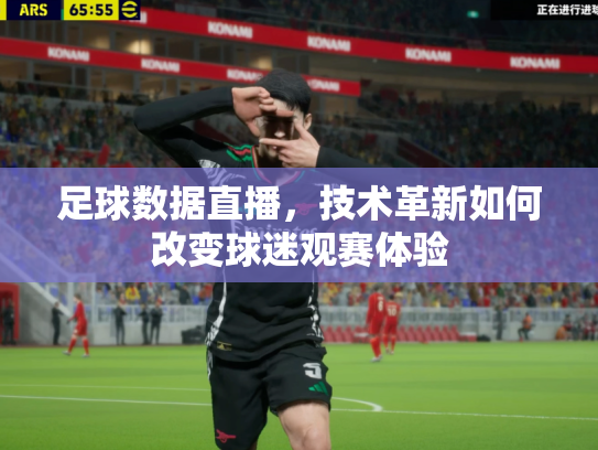足球数据直播，技术革新如何改变球迷观赛体验