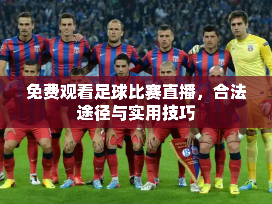 免费观看足球比赛直播，合法途径与实用技巧