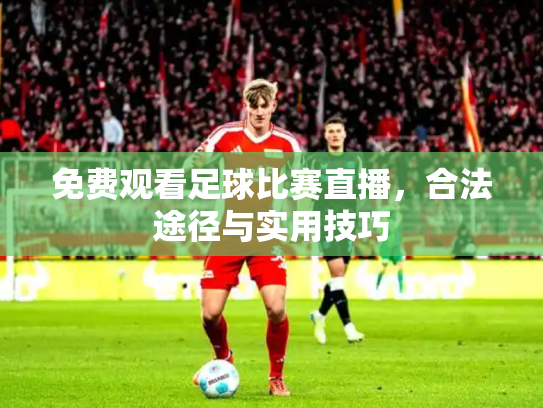免费观看足球比赛直播，合法途径与实用技巧