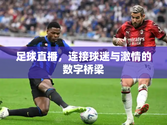 足球直播，连接球迷与激情的数字桥梁