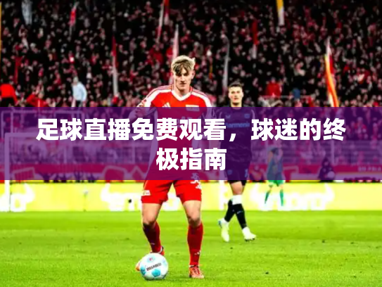 足球直播免费观看，球迷的终极指南