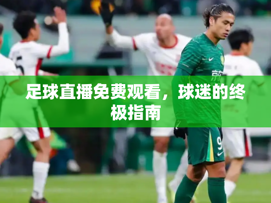 足球直播免费观看，球迷的终极指南