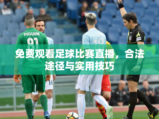 免费观看足球比赛直播，合法途径与实用技巧