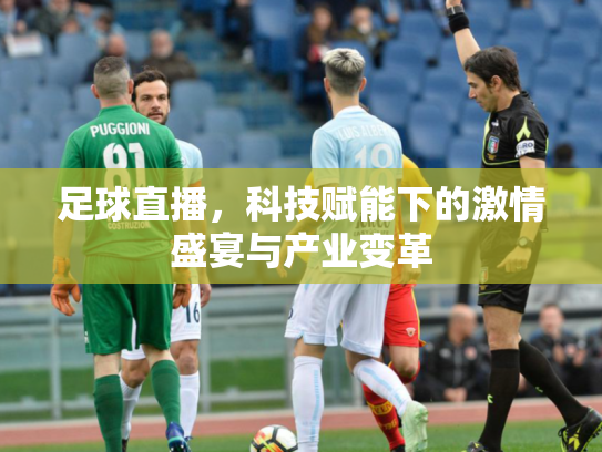 足球直播，科技赋能下的激情盛宴与产业变革