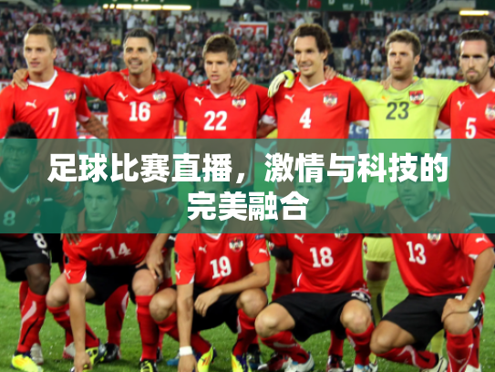 足球比赛直播，激情与科技的完美融合