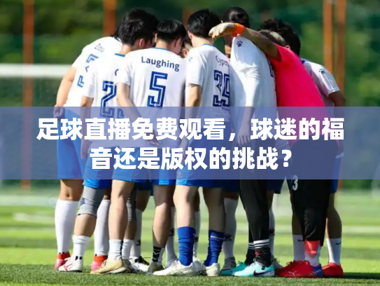 足球直播免费观看，球迷的福音还是版权的挑战？