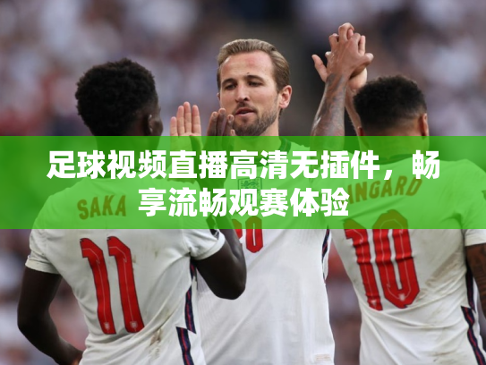 足球视频直播高清无插件，畅享流畅观赛体验