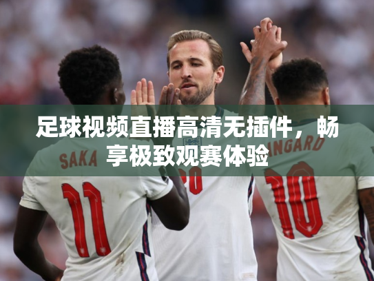 足球视频直播高清无插件，畅享极致观赛体验