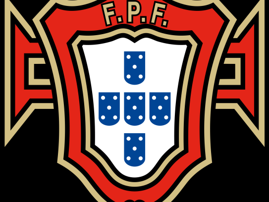 东京FC队，日本足球的都市传奇与未来挑战