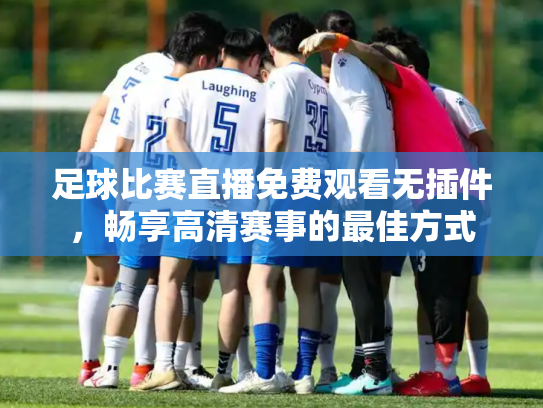 足球比赛直播免费观看无插件，畅享高清赛事的最佳方式