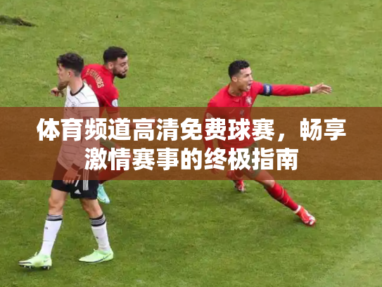 体育频道高清免费球赛，畅享激情赛事的终极指南