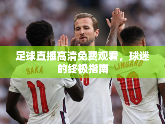 足球直播高清免费观看，球迷的终极指南