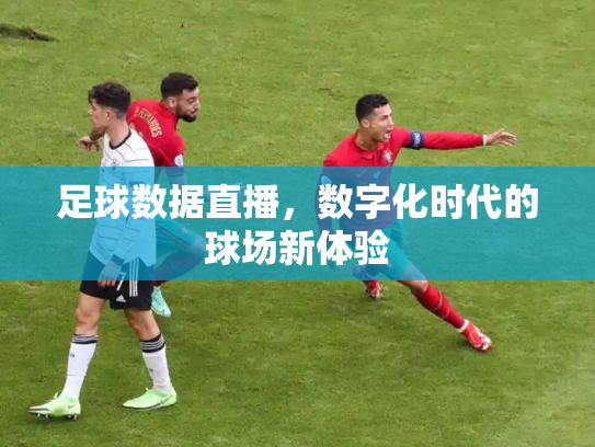 足球数据直播，数字化时代的球场新体验