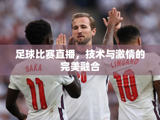 足球比赛直播，技术与激情的完美融合