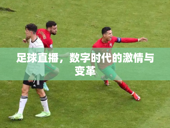 足球直播，数字时代的激情与变革
