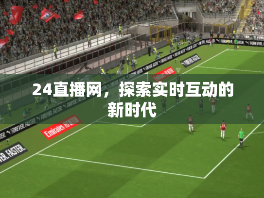 24直播网，探索实时互动的新时代