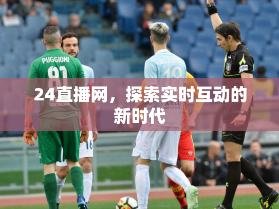 24直播网，探索实时互动的新时代