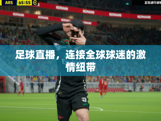 足球直播，连接全球球迷的激情纽带