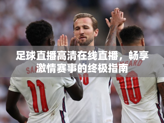 足球直播高清在线直播，畅享激情赛事的终极指南