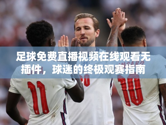 足球免费直播视频在线观看无插件，球迷的终极观赛指南