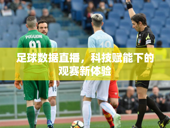 足球数据直播，科技赋能下的观赛新体验