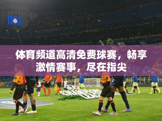 体育频道高清免费球赛，畅享激情赛事，尽在指尖