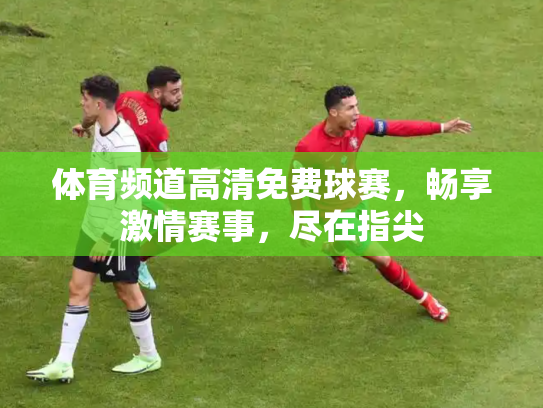 体育频道高清免费球赛，畅享激情赛事，尽在指尖