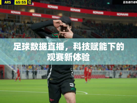 足球数据直播，科技赋能下的观赛新体验