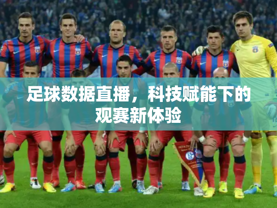 足球数据直播，科技赋能下的观赛新体验