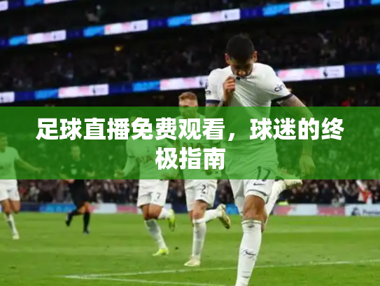 足球直播免费观看，球迷的终极指南