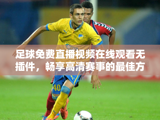 足球免费直播视频在线观看无插件，畅享高清赛事的最佳方式