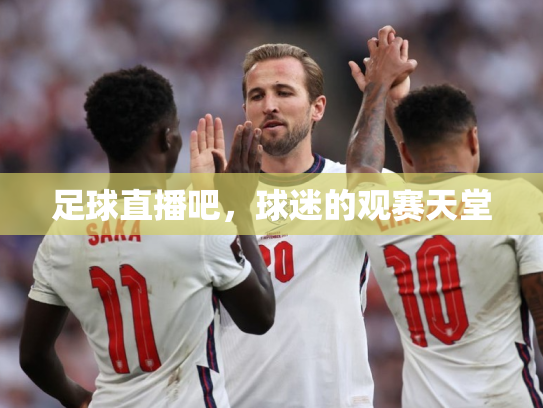 足球直播吧，球迷的观赛天堂