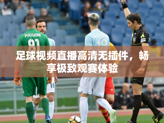 足球视频直播高清无插件，畅享极致观赛体验