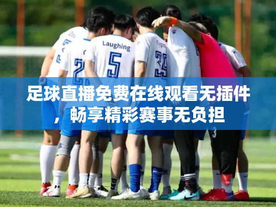 足球直播免费在线观看无插件，畅享精彩赛事无负担