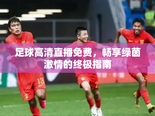 足球高清直播免费，畅享绿茵激情的终极指南