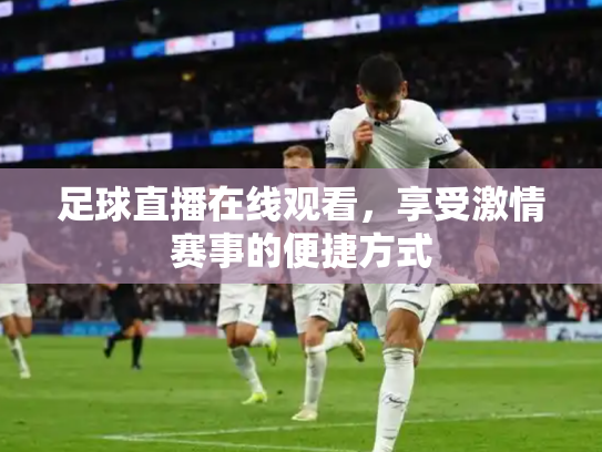 足球直播在线观看，享受激情赛事的便捷方式