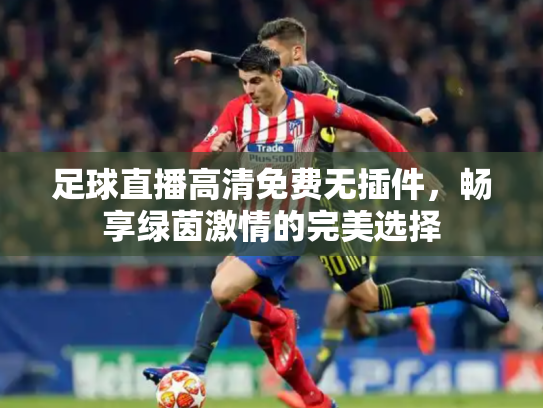 足球直播高清免费无插件，畅享绿茵激情的完美选择