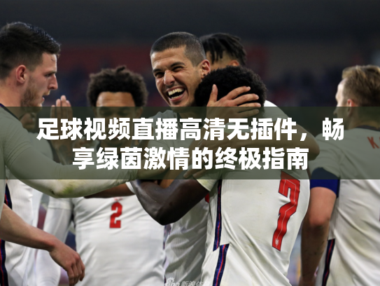 足球视频直播高清无插件，畅享绿茵激情的终极指南