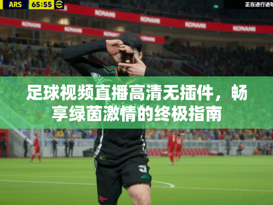 足球视频直播高清无插件，畅享绿茵激情的终极指南