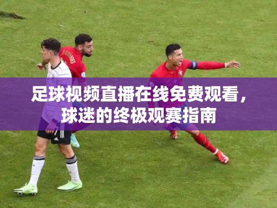 足球视频直播在线免费观看，球迷的终极观赛指南