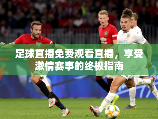 足球直播免费观看直播，享受激情赛事的终极指南