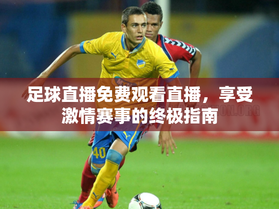 足球直播免费观看直播，享受激情赛事的终极指南